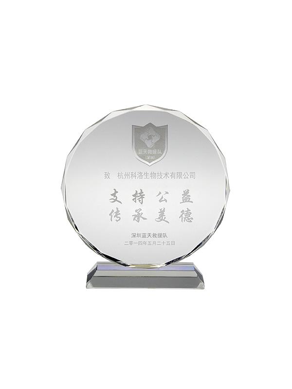 蓝天救援队公益证书